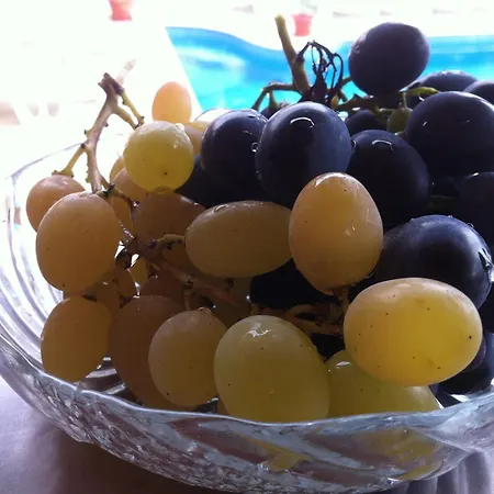 Отель Poseidon 2*