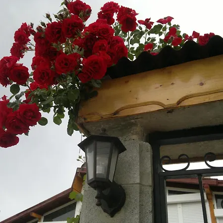 Poseidon Отель Золотые Пески