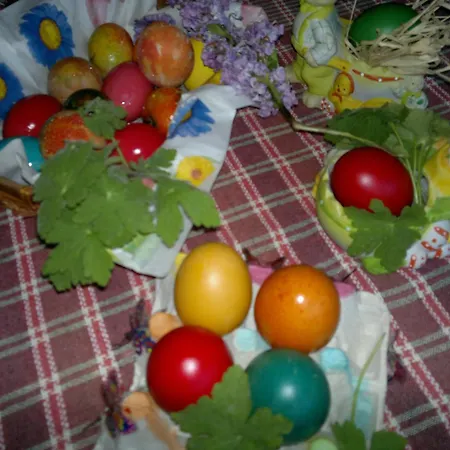 Poseidon 2* Золотые Пески