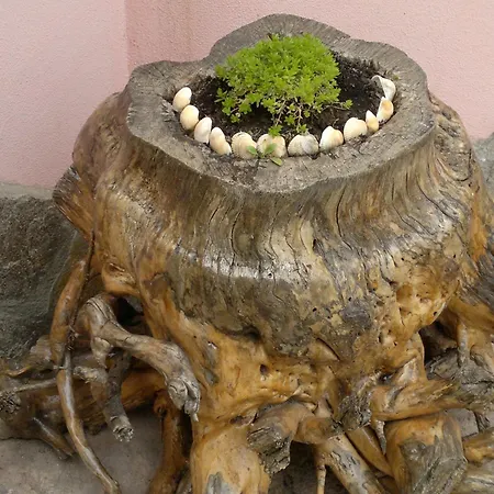 Poseidon 2* Золотые Пески