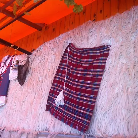 Poseidon Золотые Пески