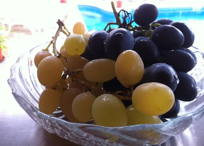 ホテル Poseidon 2*