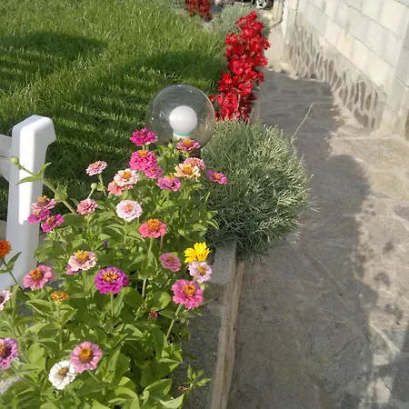 Hotel Poseidon Golden Sands