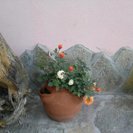 Poseidon Hotel Golden Sands