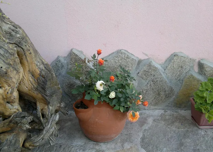 Poseidon Hotel Golden Sands